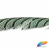 30-35” Natural Dyed Zebra Pheasant Tails (sold per piece)