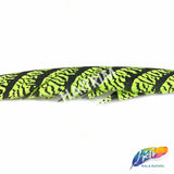 30-35” Natural Dyed Zebra Pheasant Tails (sold per piece)