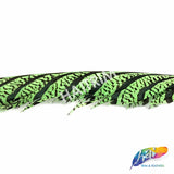 30-35” Natural Dyed Zebra Pheasant Tails (sold per piece)