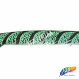 30-35” Natural Dyed Zebra Pheasant Tails (sold per piece)