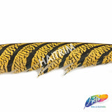 30-35” Natural Dyed Zebra Pheasant Tails (sold per piece)