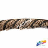 30-35” Natural Dyed Zebra Pheasant Tails (sold per piece)