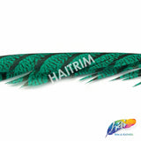 30-35” Natural Dyed Zebra Pheasant Tails (sold per piece)