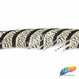 30-35” Natural Dyed Zebra Pheasant Tails (sold per piece)