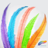 18-20" Bleached Dyed Ostrich Nandu