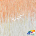 24" Ombre (2-tone) Chainette Fringe