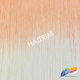24" Ombre (2-tone) Chainette Fringe