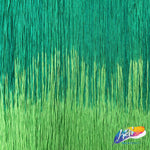 24" Ombre (2-tone) Chainette Fringe