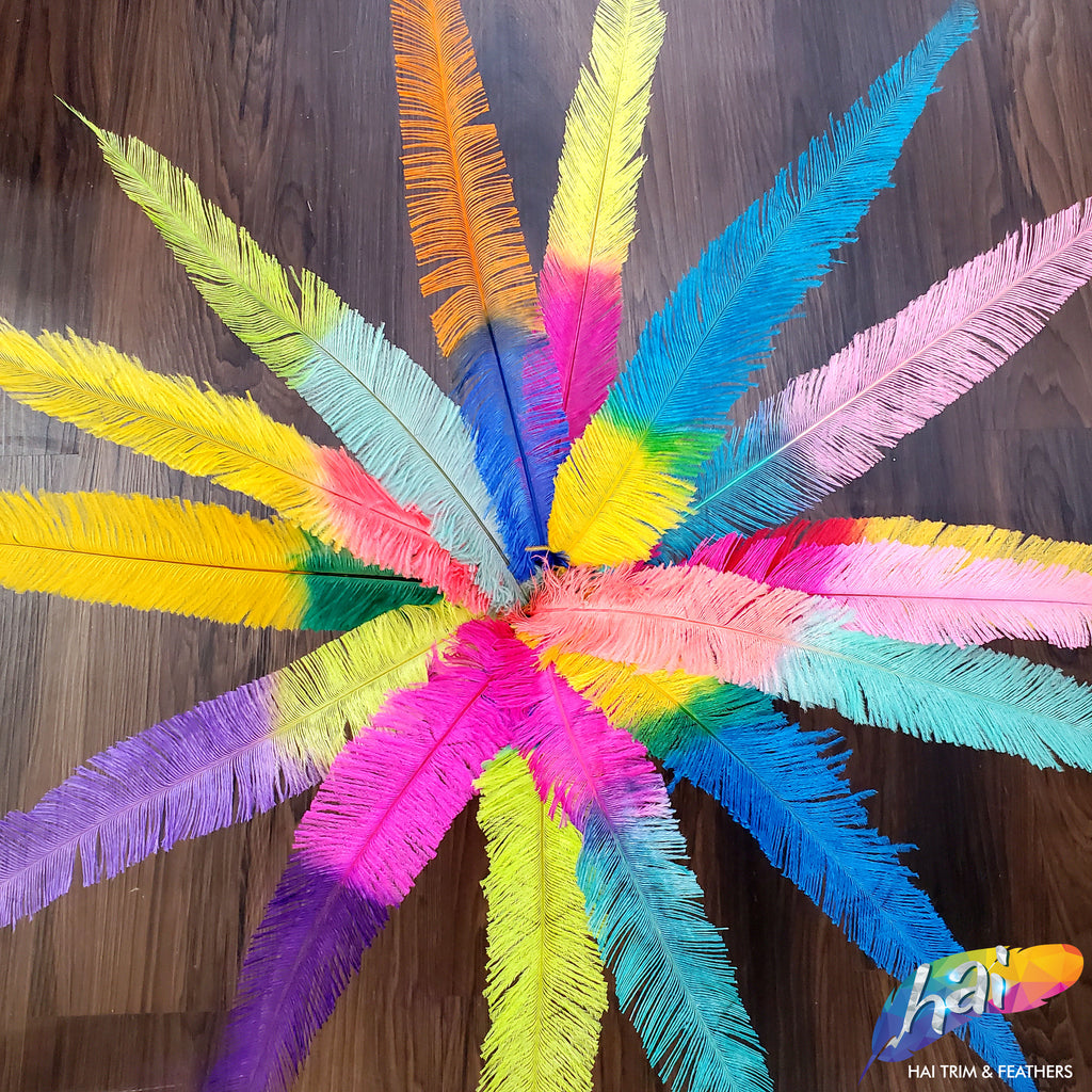 Colored Ostrich Feathers – Diamond Papers & Craft