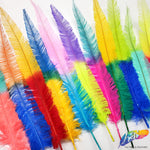 18-20" Two Tone Bleached Dyed Ostrich Nandu