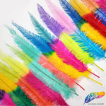 18-20" Two Tone Bleached Dyed Ostrich Nandu