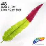 18-20" Two Tone Bleached Dyed Ostrich Nandu
