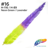 18-20" Two Tone Bleached Dyed Ostrich Nandu