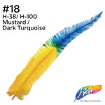 18-20" Two Tone Bleached Dyed Ostrich Nandu