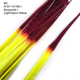 18-22" 2-tone Bleached Dyed Ringneck Pheasant Tails