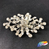 Crystal Branch Vine Rhinestone Brooch, BRS01-052