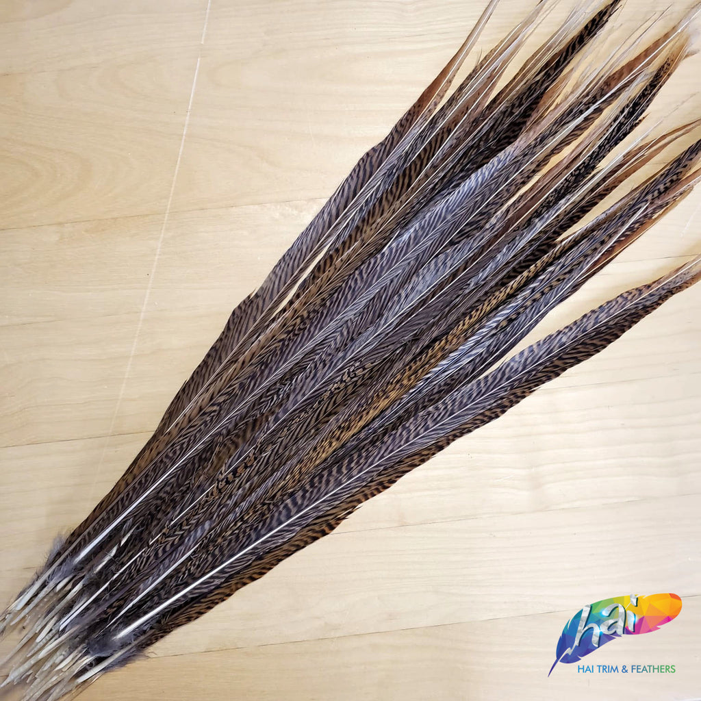 20-22 Natural Golden Pheasant Tails – Hai Trim & Feathers