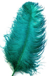 18-22" Ostrich Plumes