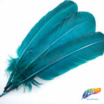 10-12" Turkey Quills (Sold Per Piece)