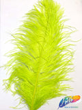 18-22" Ostrich Plumes