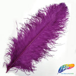 18-22" Ostrich Plumes