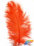 18-22" Ostrich Plumes