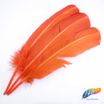 10-12" Turkey Quills (Sold Per Piece)