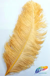 18-22" Ostrich Plumes