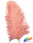 18-22" Ostrich Plumes