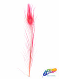 10-12" Peacock Tail Eyes