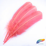 10-12" Turkey Quills (Sold Per Piece)