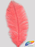 18-22" Ostrich Plumes