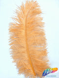 18-22" Ostrich Plumes