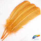 10-12" Turkey Quills (Sold Per Piece)