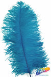 18-22" Ostrich Plumes