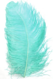 18-22" Ostrich Plumes