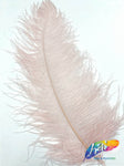 18-22" Ostrich Plumes