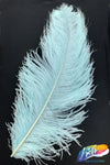 18-22" Ostrich Plumes