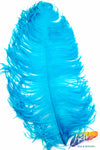 18-22" Ostrich Plumes