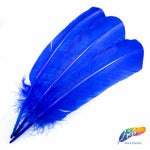 10-12" Turkey Quills (Sold Per Piece)