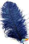 18-22" Ostrich Plumes