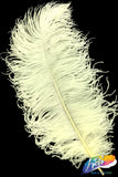 18-22" Ostrich Plumes