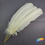 10-12" Turkey Quills (Sold Per Piece)