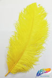 18-22" Ostrich Plumes