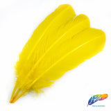 10-12" Turkey Quills (Sold Per Piece)