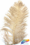 18-22" Ostrich Plumes