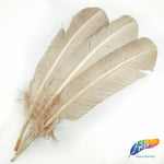 10-12" Turkey Quills (Sold Per Piece)