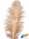 18-22" Ostrich Plumes