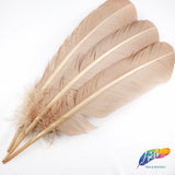 10-12" Turkey Quills (Sold Per Piece)