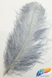 18-22" Ostrich Plumes